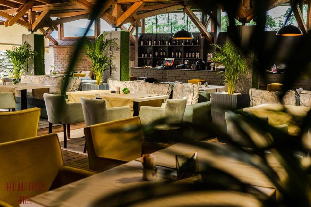 Hotel Brilliant Meses Zalău المظهر الخارجي الصورة
